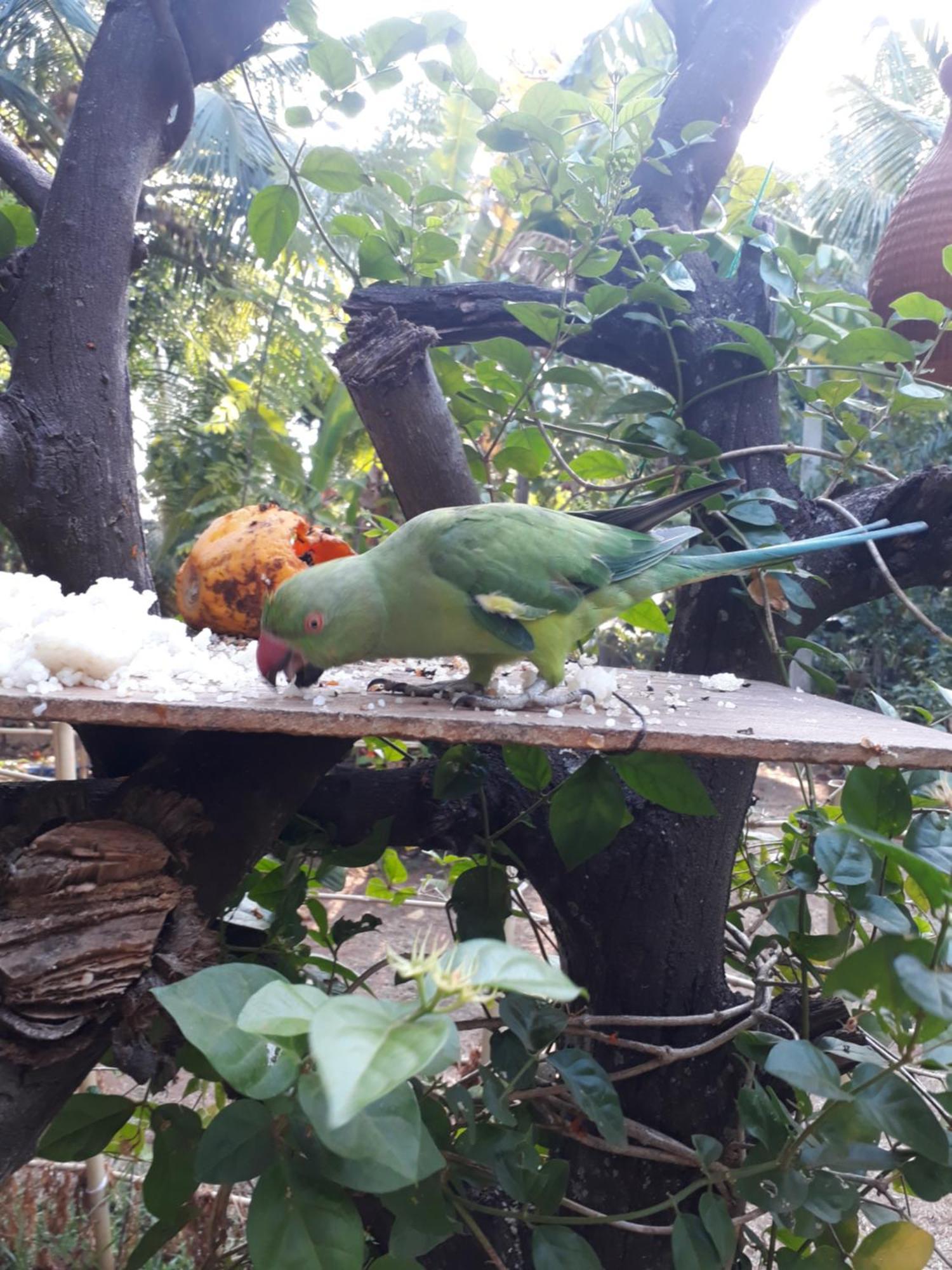 Yaluwa Tourist Rest & Cooking Class Anuradhapura Dış mekan fotoğraf