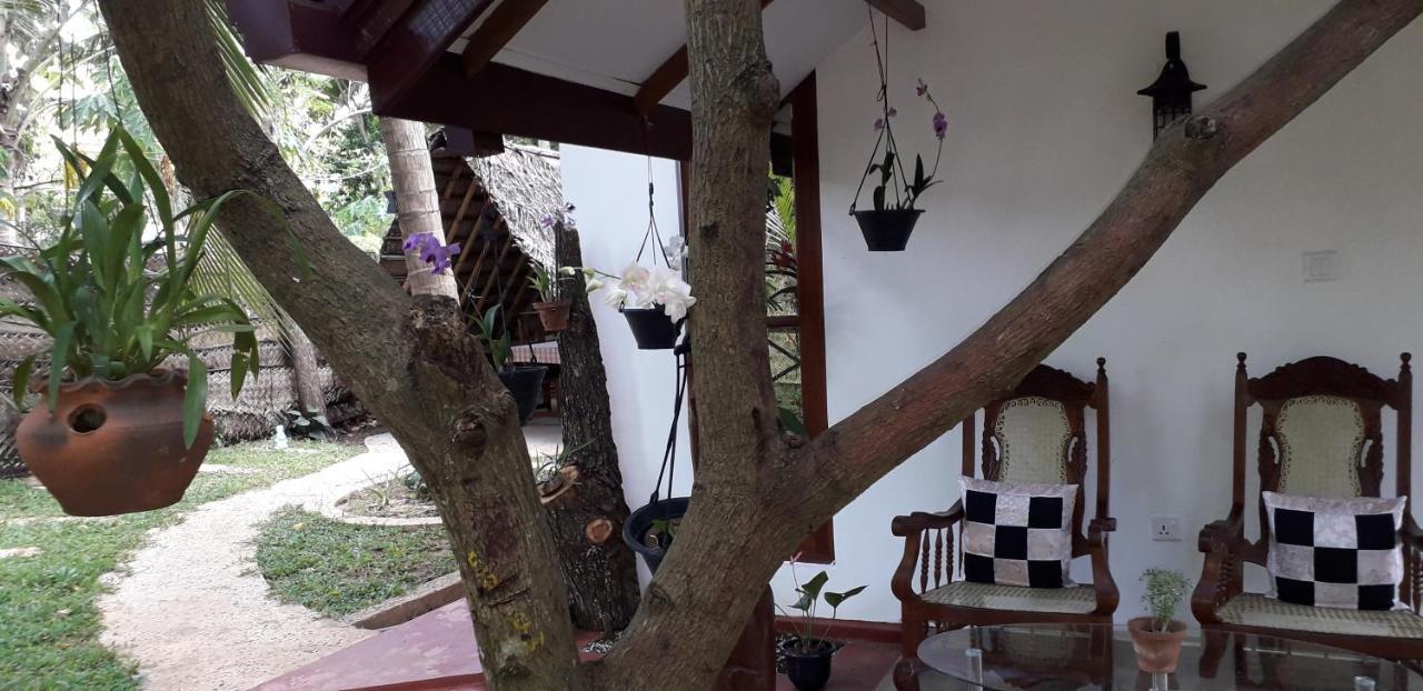 Yaluwa Tourist Rest & Cooking Class Anuradhapura Dış mekan fotoğraf