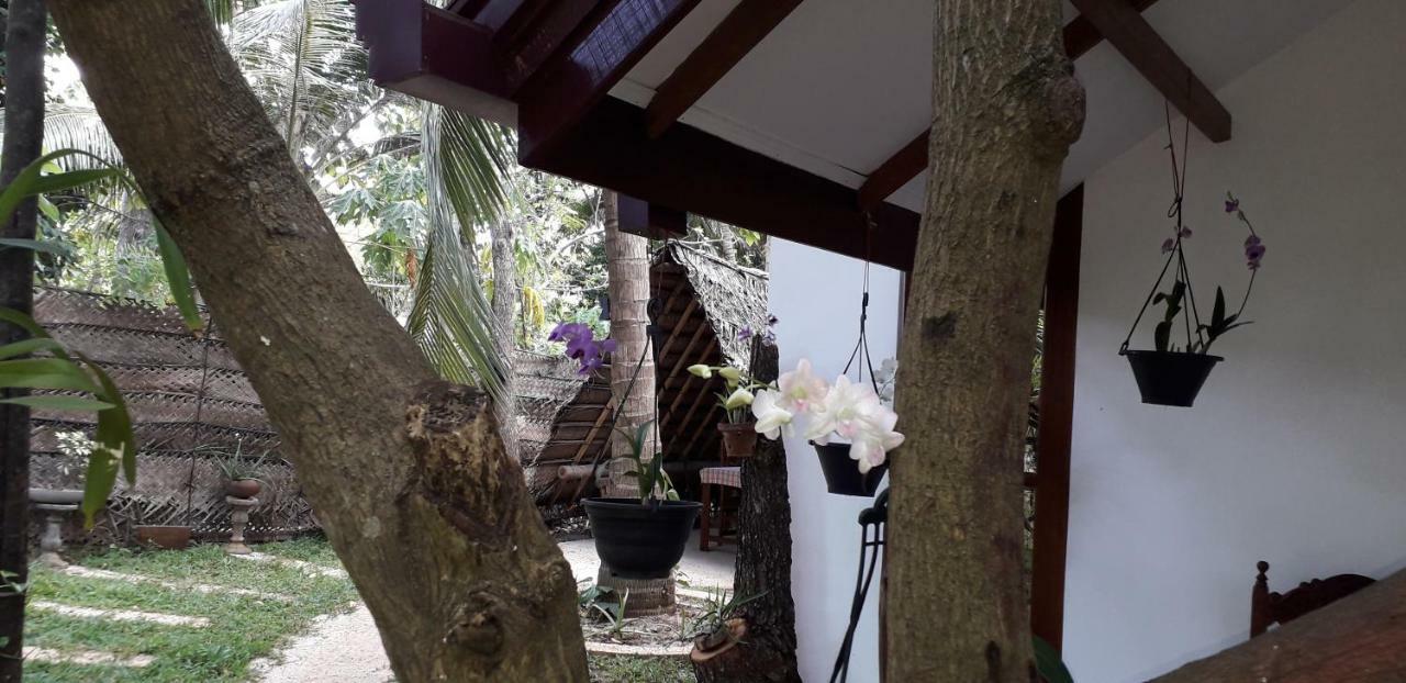 Yaluwa Tourist Rest & Cooking Class Anuradhapura Dış mekan fotoğraf