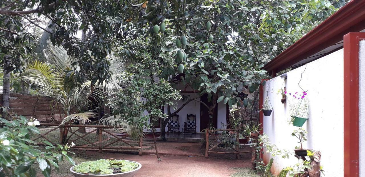 Yaluwa Tourist Rest & Cooking Class Anuradhapura Dış mekan fotoğraf
